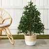 image:imageNearly Natural 3 ft Artificial Bay Leaf Topiary UVResistant Porch Decor