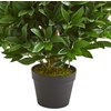 image:imageNearly Natural 3 ft Artificial Bay Leaf Topiary UVResistant Porch Decor