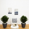 image:imageNearly Natural 3 ft Artificial Cedar Tree UVResistant Outdoor Porch Decor