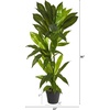 image:imageNearly Natural 3 ft Artificial Dracaena Real Touch Plant for Home Office