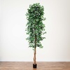 image:imageNearly Natural 3 ft Artificial Ficus Tree with Natural Wood Trunks10ft