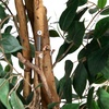 image:imageNearly Natural 3 ft Artificial Ficus Tree with Natural Wood Trunks10ft