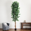 image:imageNearly Natural 3 ft Artificial Ficus Tree with Natural Wood Trunks10ft
