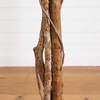 image:imageNearly Natural 3 ft Artificial Ficus Tree with Natural Wood Trunks10ft