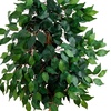 image:imageNearly Natural 3 ft Artificial Ficus Tree with Natural Wood Trunks3ft