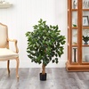 image:imageNearly Natural 3 ft Artificial Ficus Tree with Natural Wood Trunks3ft