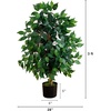 image:imageNearly Natural 3 ft Artificial Ficus Tree with Natural Wood Trunks3ft