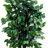 image:imageNearly Natural 3 ft Artificial Ficus Tree with Natural Wood Trunks4ft