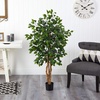 image:imageNearly Natural 3 ft Artificial Ficus Tree with Natural Wood Trunks4ft