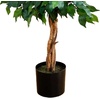 image:imageNearly Natural 3 ft Artificial Ficus Tree with Natural Wood Trunks4ft