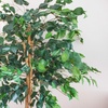 image:imageNearly Natural 3 ft Artificial Ficus Tree with Natural Wood Trunks5ft