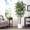 image:imageNearly Natural 3 ft Artificial Ficus Tree with Natural Wood Trunks6ft