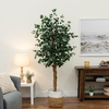image:imageNearly Natural 3 ft Artificial Ficus Tree with Natural Wood Trunks6ft