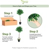 image:imageNearly Natural 3 ft Artificial Ficus Tree with Natural Wood Trunks6ft 2in
