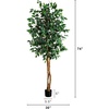 image:imageNearly Natural 3 ft Artificial Ficus Tree with Natural Wood Trunks6ft 2in