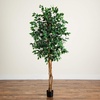 image:imageNearly Natural 3 ft Artificial Ficus Tree with Natural Wood Trunks6ft 2in