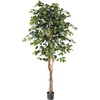 image:imageNearly Natural 3 ft Artificial Ficus Tree with Natural Wood Trunks6ft