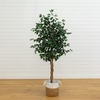 image:imageNearly Natural 3 ft Artificial Ficus Tree with Natural Wood Trunks6ft
