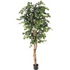 image:imageNearly Natural 3 ft Artificial Ficus Tree with Natural Wood Trunks6ft