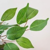 image:imageNearly Natural 3 ft Artificial Ficus Tree with Natural Wood Trunks7ft