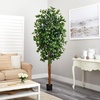 image:imageNearly Natural 3 ft Artificial Ficus Tree with Natural Wood Trunks7ft