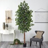 image:imageNearly Natural 3 ft Artificial Ficus Tree with Natural Wood Trunks8ft