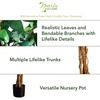 image:imageNearly Natural 3 ft Artificial Ficus Tree with Natural Wood Trunks8ft