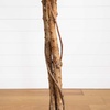 image:imageNearly Natural 3 ft Artificial Ficus Tree with Natural Wood Trunks9ft