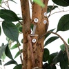 image:imageNearly Natural 3 ft Artificial Ficus Tree with Natural Wood Trunks9ft