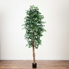 image:imageNearly Natural 3 ft Artificial Ficus Tree with Natural Wood Trunks9ft