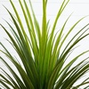 image:imageNearly Natural 3 ft Artificial Grass Plant UVResistant Outdoor Porch Decor