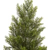 image:imageNearly Natural 3 ft Artificial Mini Cedar Pine Tree for Home DecorGreen