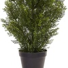 image:imageNearly Natural 3 ft Artificial Mini Cedar Pine Tree for Home DecorGreen