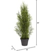 image:imageNearly Natural 3 ft Artificial Mini Cedar Pine Tree for Home DecorGreen