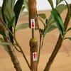 image:imageNearly Natural 3 ft Artificial Olive Tree with Natural Trunk for Decor3ft