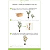 image:imageNearly Natural 3 ft Artificial Olive Tree with Natural Trunk for Decor3ft