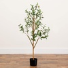 image:imageNearly Natural 3 ft Artificial Olive Tree with Natural Trunk for Decor4ft