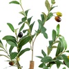 image:imageNearly Natural 3 ft Artificial Olive Tree with Natural Trunk for Decor4ft
