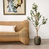 image:imageNearly Natural 3 ft Artificial Olive Tree with Natural Trunk for Decor4ft