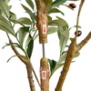 image:imageNearly Natural 3 ft Artificial Olive Tree with Natural Trunk for Decor4ft