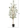 image:imageNearly Natural 3 ft Artificial Olive Tree with Natural Trunk for Decor5ft 6in