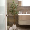 image:imageNearly Natural 3 ft Artificial Olive Tree with Natural Trunk for Decor5ft