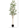 image:imageNearly Natural 3 ft Artificial Olive Tree with Natural Trunk for Decor6ft