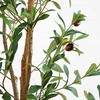 image:imageNearly Natural 3 ft Artificial Olive Tree with Natural Trunk for Decor6ft