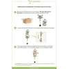 image:imageNearly Natural 3 ft Artificial Olive Tree with Natural Trunk for Decor6ft