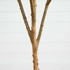 image:imageNearly Natural 3 ft Artificial Olive Tree with Natural Trunk for Decor6ft