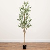 image:imageNearly Natural 3 ft Artificial Olive Tree with Natural Trunk for Decor6ft