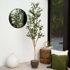 image:imageNearly Natural 3 ft Artificial Olive Tree with Natural Trunk for Decor6ft