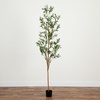 image:imageNearly Natural 3 ft Artificial Olive Tree with Natural Trunk for Decor7ft
