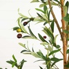 image:imageNearly Natural 3 ft Artificial Olive Tree with Natural Trunk for Decor7ft